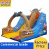 Viking Inflatable Slide