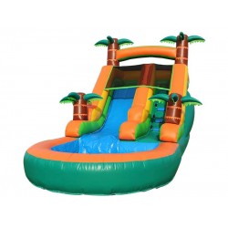 Tropical Slides With Water Pool Tropical Slides With Water Pool