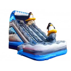 Dual Lane Slide Sea Waves Slide Dual Lane Slide Sea Waves Slide