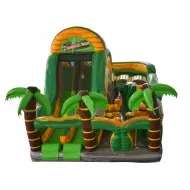 Tropical Extreme Tropical Extreme
