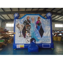 Frozen Bouncy Castle