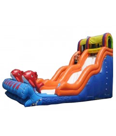 Inflatable Water Slide